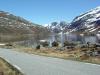 gal/01-Europe/07-Norvege/_thb_Dscf0045.jpg