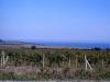 gal/01-Europe/16-Bulgarie/_thb_DSCF0154b.JPG