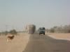 gal/02-Asie/18-Inde/02-Rajasthan/_thb_080dscf0327.jpg
