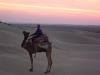 gal/02-Asie/18-Inde/02-Rajasthan/_thb_102dscf0354.jpg