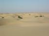gal/02-Asie/18-Inde/02-Rajasthan/_thb_106dscf0358.jpg