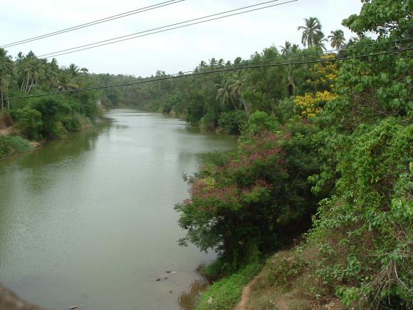 gal/02-Asie/18-Inde/07-Kerala/DSCF0482.JPG