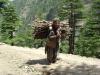 gal/02-Asie/18-Inde/09-Himachal_Pradesh/_thb_DSCF0519.JPG