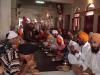 gal/02-Asie/18-Inde/11-Punjab/_thb_DSCF0658.JPG