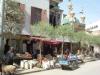 gal/02-Asie/21-Chine/01-Xinjiang/_thb_14dscf0714.jpg