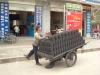 gal/02-Asie/21-Chine/17-Yunnan/_thb_076dscf1453.jpg