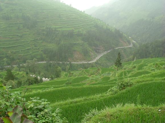 gal/02-Asie/21-Chine/18-Guizhou/DSCF1276.JPG