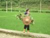 gal/02-Asie/21-Chine/18-Guizhou/_thb_DSCF1267.JPG