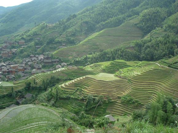 gal/02-Asie/21-Chine/19-Guangxi/DSCF1243.JPG