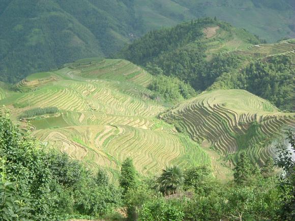 gal/02-Asie/21-Chine/19-Guangxi/DSCF1244.JPG