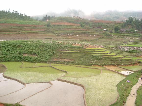 gal/02-Asie/23-Vietnam/DSCF1186.JPG