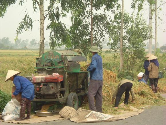 gal/02-Asie/23-Vietnam/DSCF1222.JPG