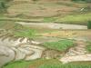 gal/02-Asie/23-Vietnam/_thb_DSCF1193.JPG
