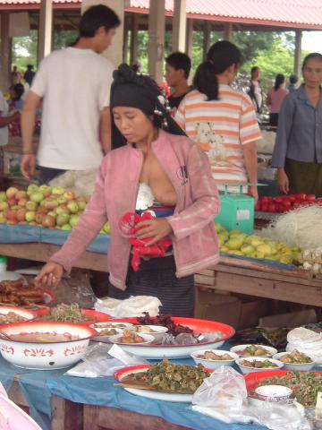 gal/02-Asie/24-Laos/01-Louang_Nam_Tha/DSCF1564.JPG