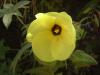gal/02-Asie/24-Laos/02-Oudomxai/_thb_DSCF1579.JPG