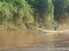 gal/02-Asie/24-Laos/06-Bokeo/_thb_DSCF1698.JPG