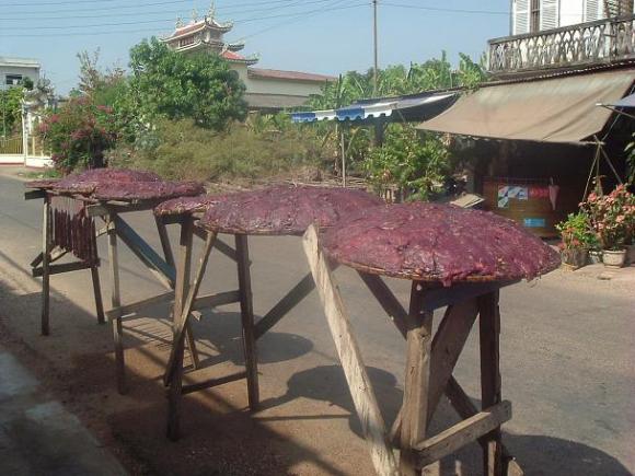 gal/02-Asie/24-Laos/10-Savannakhet/DSCF2332.JPG