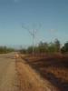 gal/02-Asie/24-Laos/11-Salavan/_thb_DSCF2355.JPG