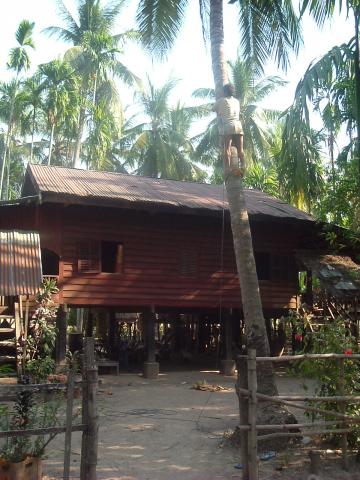 gal/02-Asie/24-Laos/12-Champassak/DSCF2440.JPG