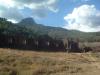 gal/02-Asie/24-Laos/12-Champassak/_thb_DSCF2384.JPG