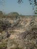gal/02-Asie/24-Laos/12-Champassak/_thb_DSCF2433.JPG