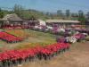 gal/02-Asie/25-Thailande/04-Orchidees/02-Autres_fleurs/_thb_DSCF2196.JPG