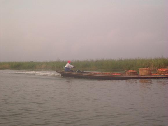 gal/02-Asie/26-Myanmar/02-Inle/004dscf1776.jpg