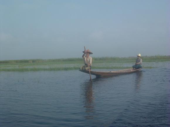 gal/02-Asie/26-Myanmar/02-Inle/013dscf1785.jpg