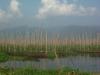 gal/02-Asie/26-Myanmar/02-Inle/_thb_042dscf1818.jpg