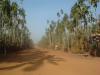 gal/02-Asie/27-Cambodge/02-Centre/_thb_DSCF2550.JPG