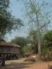 gal/02-Asie/27-Cambodge/02-Centre/_thb_DSCF2705.JPG