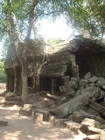 gal/02-Asie/27-Cambodge/03-Angkor_Wat/02-Ta_Prohm/DSCF2566.JPG