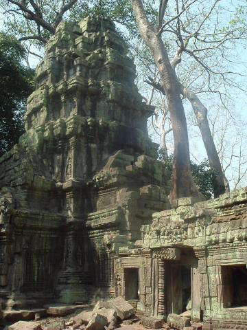 gal/02-Asie/27-Cambodge/03-Angkor_Wat/02-Ta_Prohm/DSCF2570.JPG