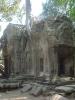 gal/02-Asie/27-Cambodge/03-Angkor_Wat/02-Ta_Prohm/_thb_DSCF2567.JPG