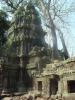 gal/02-Asie/27-Cambodge/03-Angkor_Wat/02-Ta_Prohm/_thb_DSCF2570.JPG