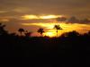 gal/02-Asie/28-Malaisie/01-Peninsule_cote_ouest/_thb_P3252958.JPG