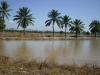 gal/02-Asie/28-Malaisie/01-Peninsule_cote_ouest/_thb_P3272973.JPG
