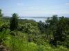 gal/02-Asie/28-Malaisie/01-Peninsule_cote_ouest/_thb_P3272977.JPG