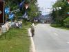 gal/02-Asie/28-Malaisie/01-Peninsule_cote_ouest/_thb_P4013134.JPG