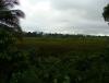 gal/02-Asie/28-Malaisie/01-Peninsule_cote_ouest/_thb_P4013162.JPG