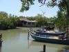 gal/02-Asie/28-Malaisie/01-Peninsule_cote_ouest/_thb_P4013164.JPG