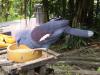 gal/02-Asie/28-Malaisie/03-Kuala_Lumpur/02-Le_parc_aux_oiseaux/_thb_P4043071.JPG