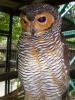 gal/02-Asie/28-Malaisie/03-Kuala_Lumpur/02-Le_parc_aux_oiseaux/_thb_P4043073.JPG