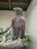 gal/02-Asie/28-Malaisie/03-Kuala_Lumpur/02-Le_parc_aux_oiseaux/_thb_P4043079.JPG