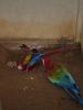 gal/02-Asie/28-Malaisie/03-Kuala_Lumpur/02-Le_parc_aux_oiseaux/_thb_P4043080.JPG