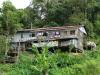 gal/02-Asie/28-Malaisie/05-Borneo/01-Sarawak/01-Ma_route/_thb_DSC03708.JPG