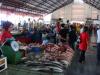 gal/02-Asie/28-Malaisie/05-Borneo/02-Sabah/_thb_DSC03786.JPG