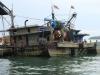 gal/02-Asie/28-Malaisie/05-Borneo/02-Sabah/_thb_DSC03790.JPG