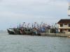 gal/02-Asie/28-Malaisie/05-Borneo/02-Sabah/_thb_DSC03793.JPG