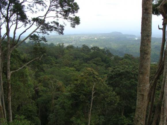 gal/02-Asie/29-Indonesie/01-Sumatra/DSC03308.JPG